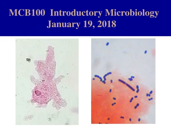 MCB100  Introductory Microbiology                    January 19, 2018