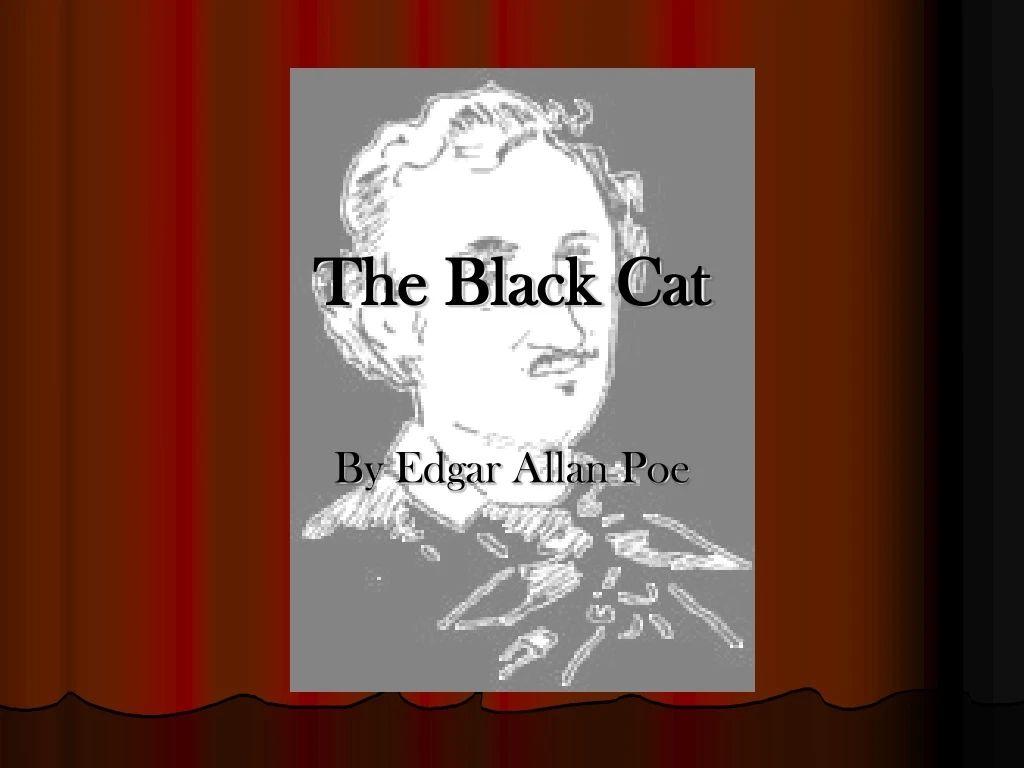 the black cat