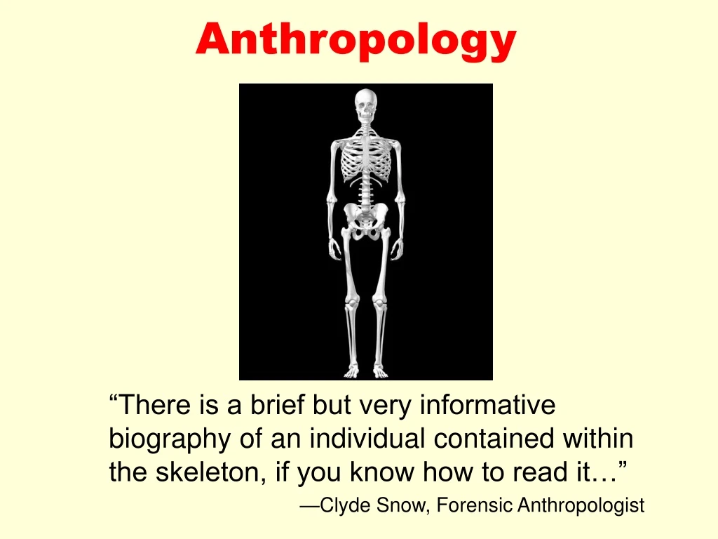 anthropology