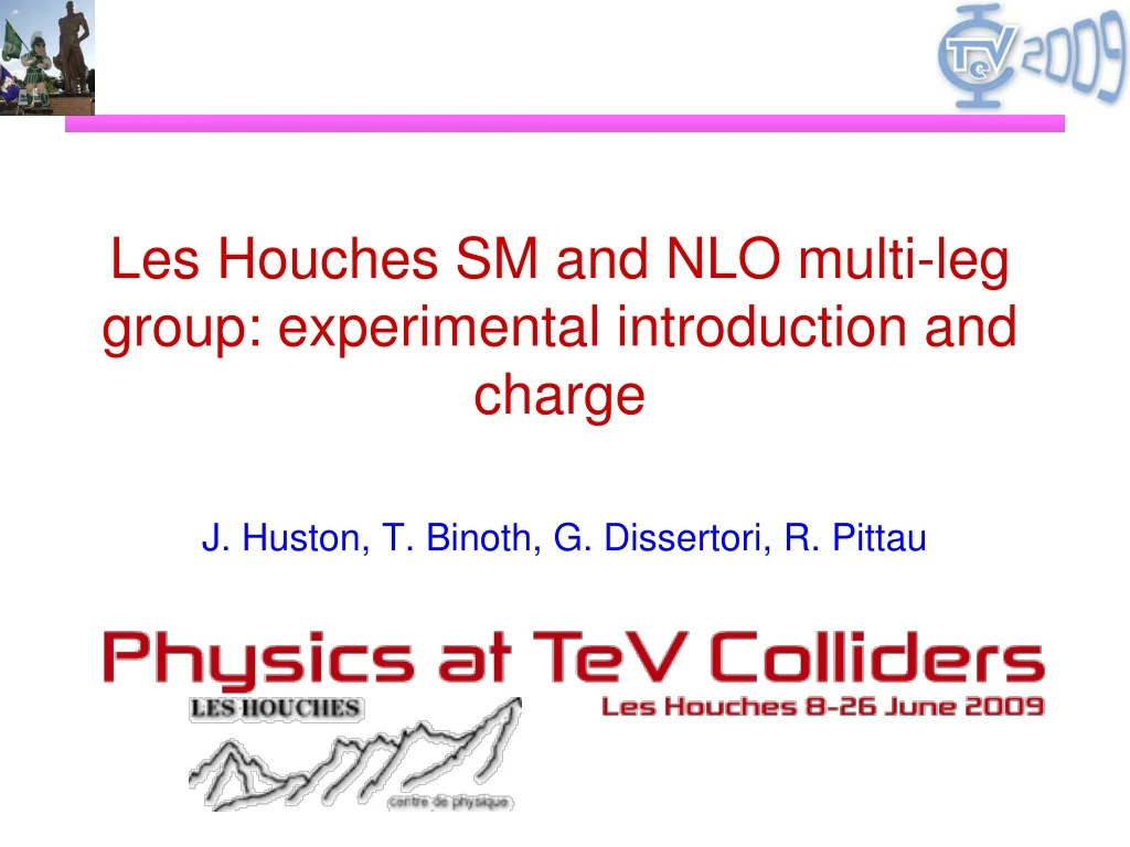 les houches sm and nlo multi leg group experimental introduction and charge