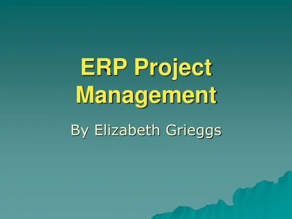 ERP Project Management