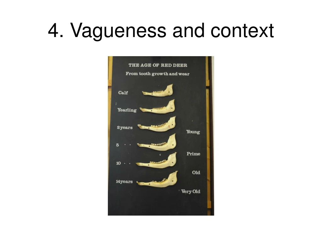 4 vagueness and context