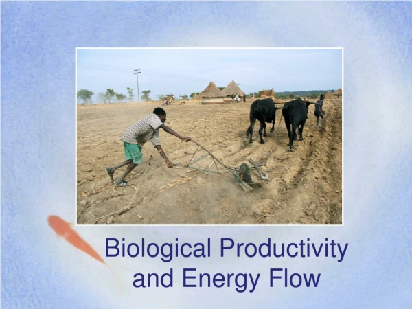 Biological Productivity and Energy Flow