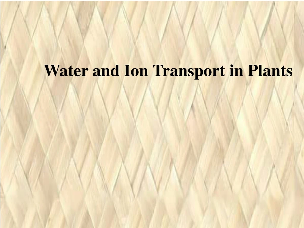 water and ion transport in plants