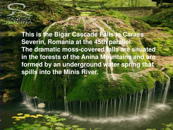 This is the Bigar Cascade Falls in Carass Severin, Romania at the 45th parallel.