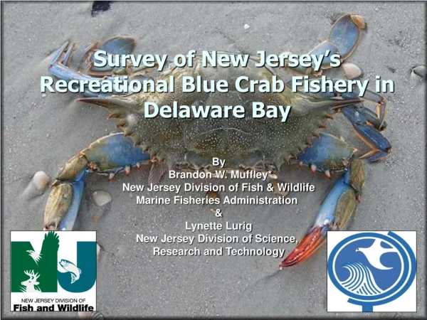 Survey of New Jersey’s Recreational Blue Crab Fishery in Delaware Bay