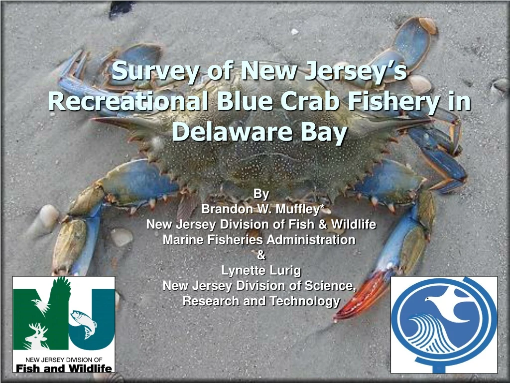 survey of new jersey s recreational blue crab