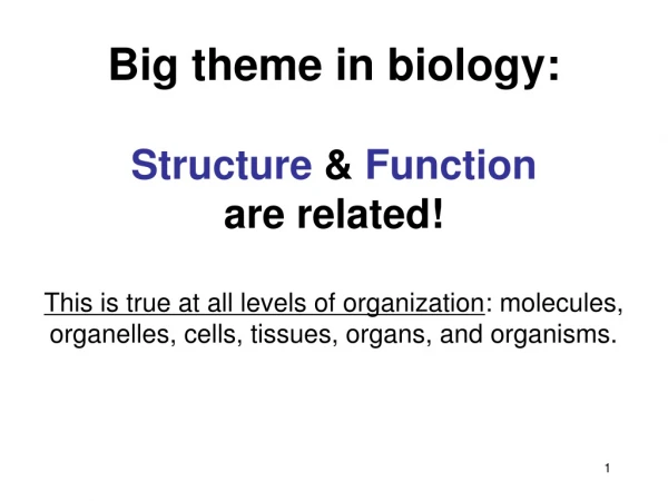 Big theme in biology: Structure  &amp;  Function are related!