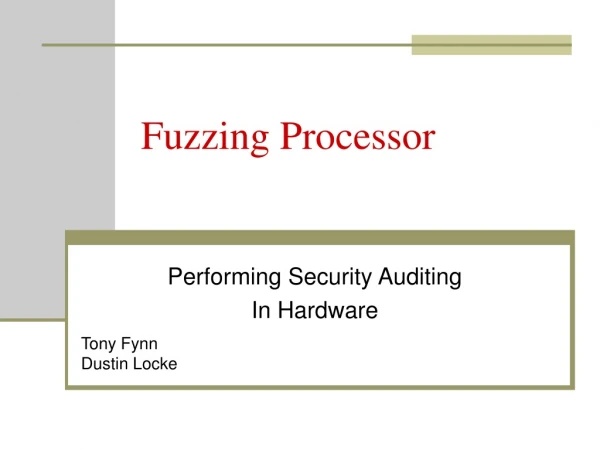 Fuzzing Processor