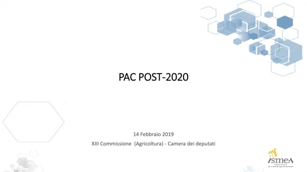 PAC POST-2020