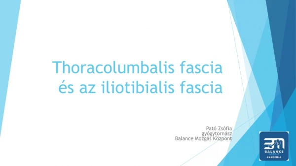 Thoracolumbalis fascia  és az  iliotibialis fascia