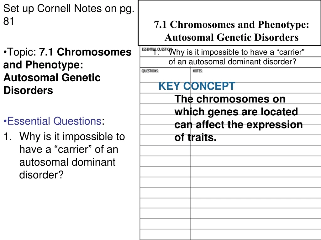 7 1 chromosomes and phenotype autosomal genetic
