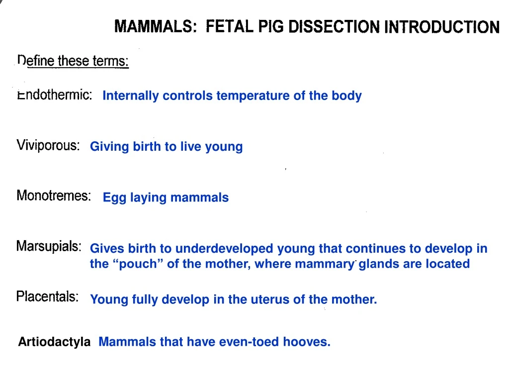 internally controls temperature of the body