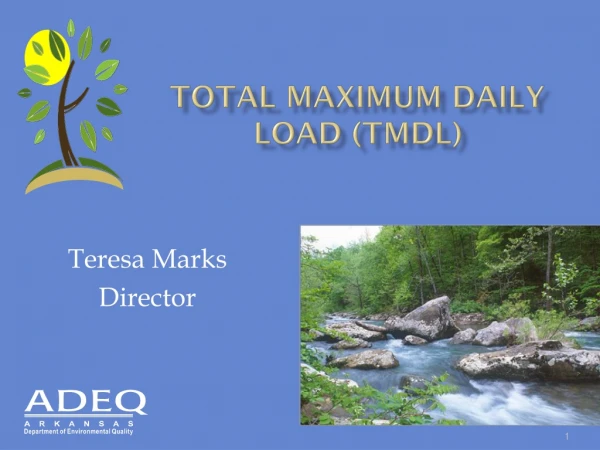 Total Maximum Daily LOAD (TMDL)