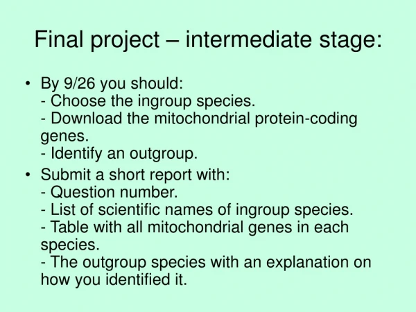 Final project – intermediate stage: