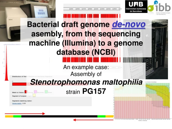 An example case: Assembly of  Stenotrophomonas maltophilia strain  PG157