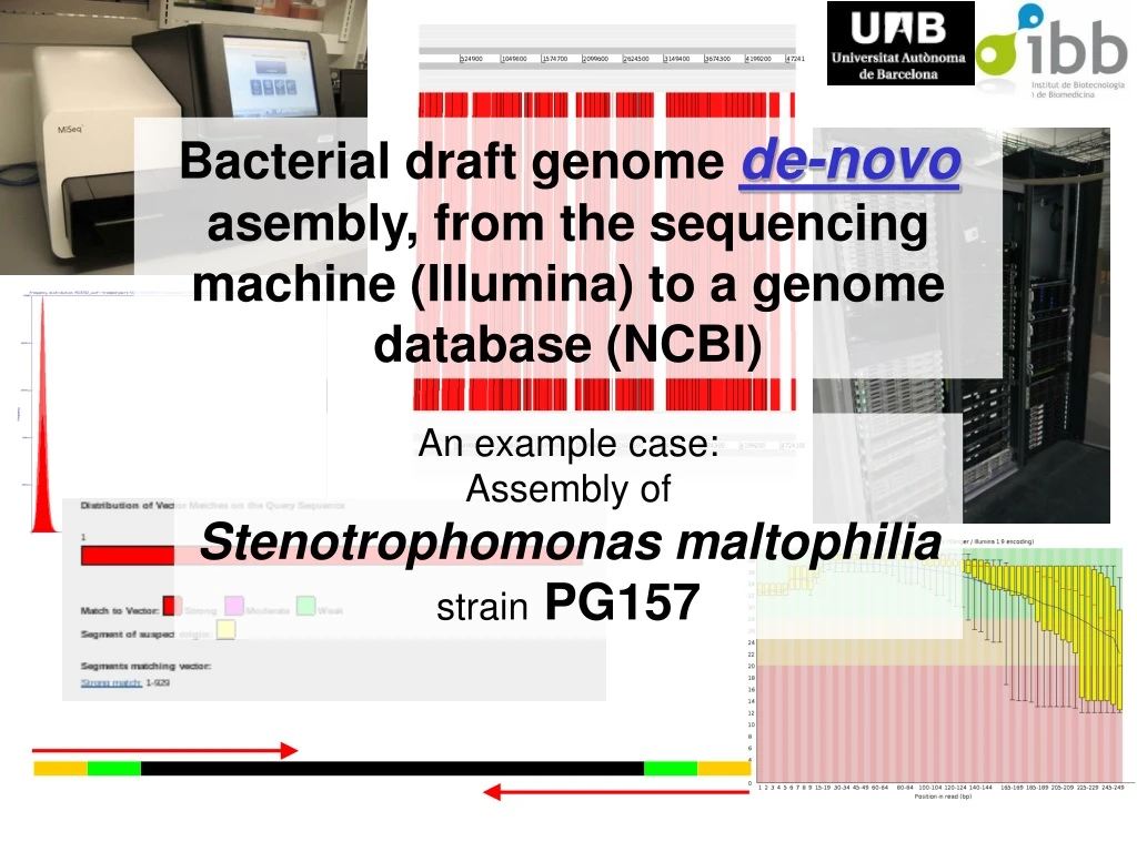 bacterial draft genome de novo asembly from