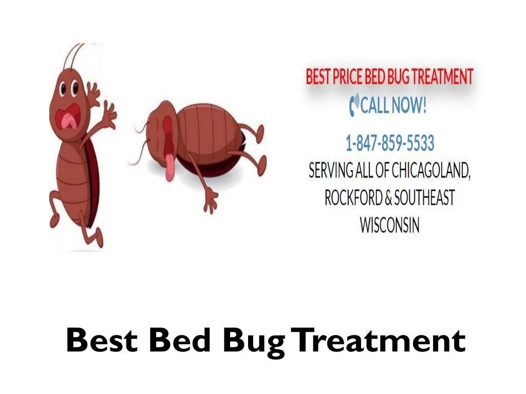 best bed bug treatment