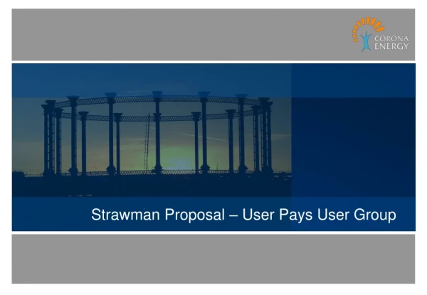 Strawman Proposal – User Pays User Group