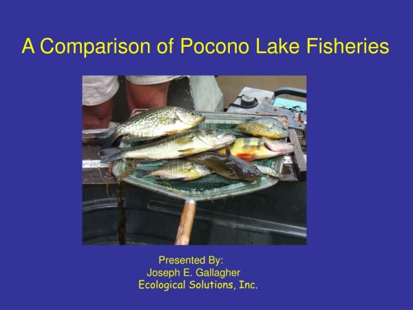 A Comparison of Pocono Lake Fisheries