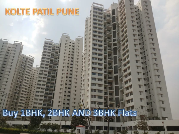 kolte patil pune
