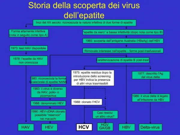 Storia della scoperta dei virus dell epatite
