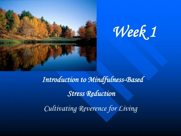 Introduction to Mindfulness-Based  Stress Reduction Cultivating Reverence for Living 