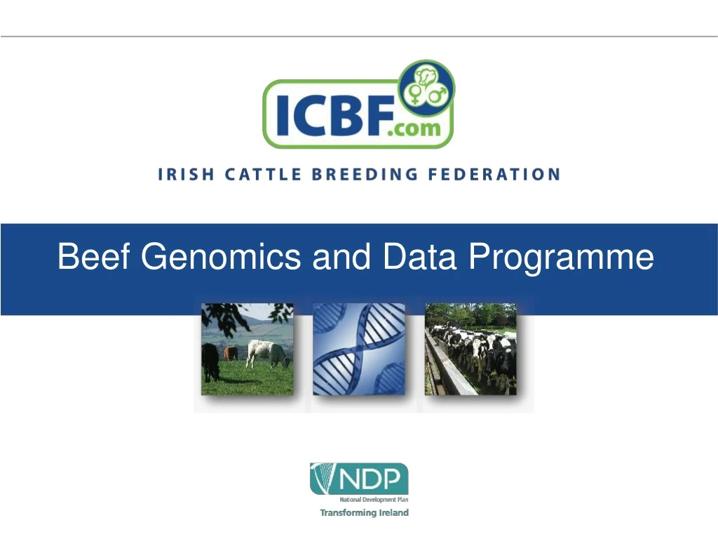 beef genomics and data programme