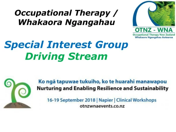 Occupational Therapy / Whakaora Ngangahau Special Interest Group Driving Stream