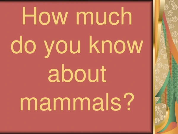 How much  do you know  about mammals?