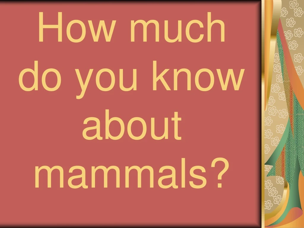 how much do you know about mammals