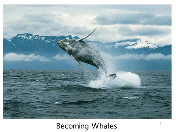 Becoming Whales