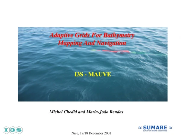 Adaptive Grids For Bathymetry Mapping And Navigation