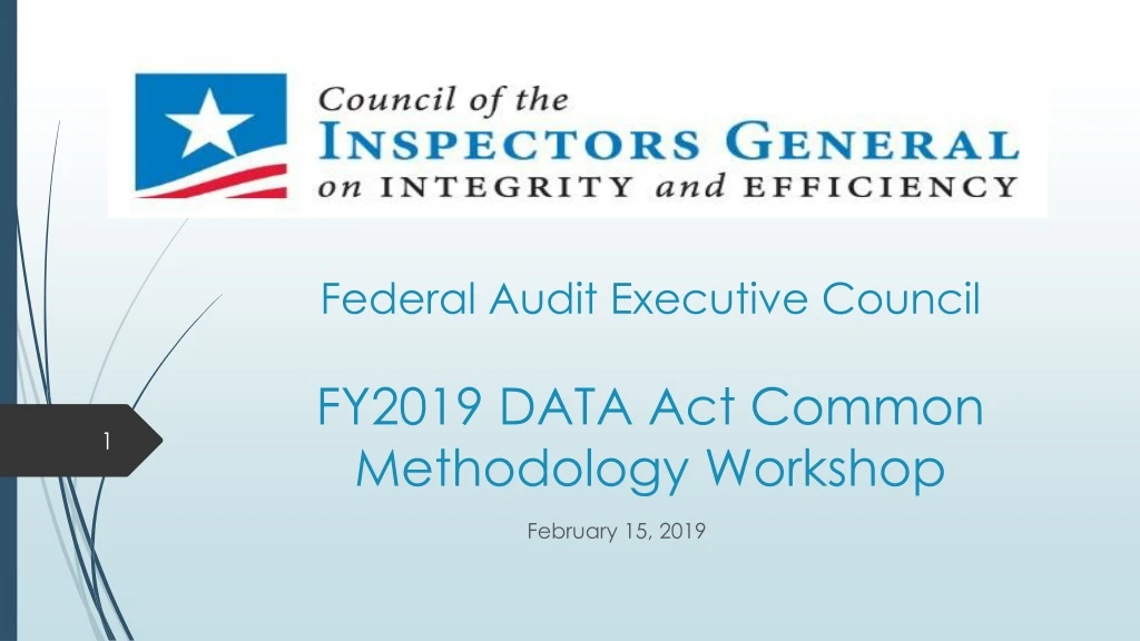 federal audit executive council fy2019 data act common methodology workshop