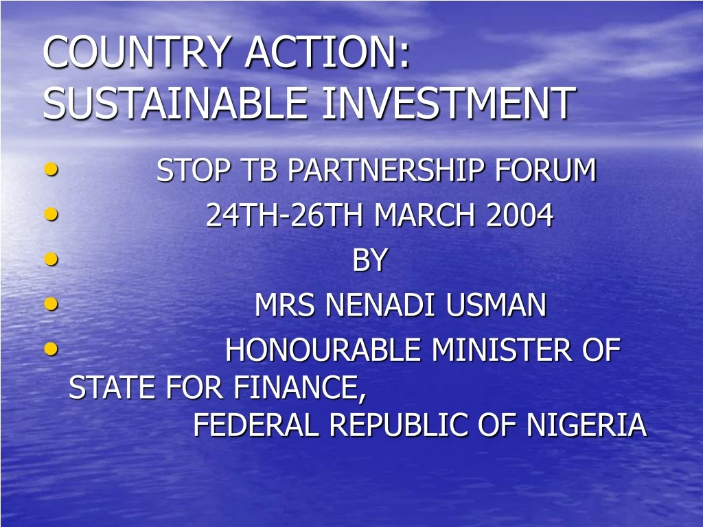 country action sustainable investment