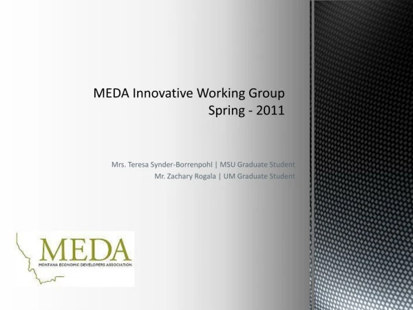 MEDA Innovative Working Group  Spring - 2011
