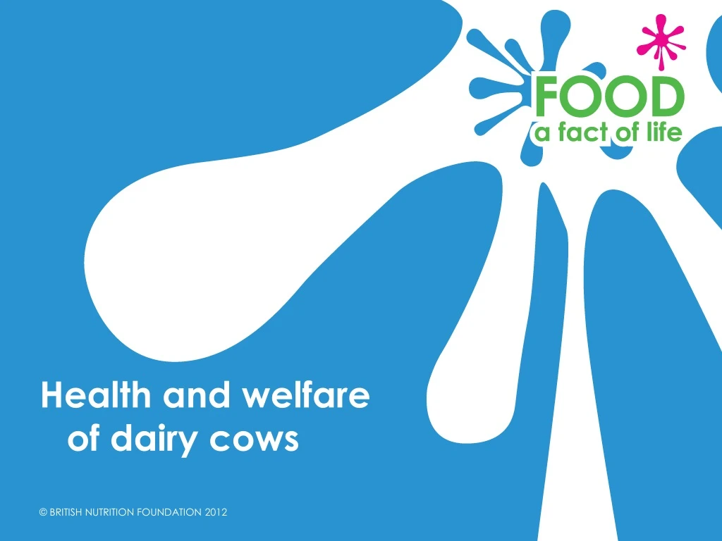 health and welfare of dairy cows