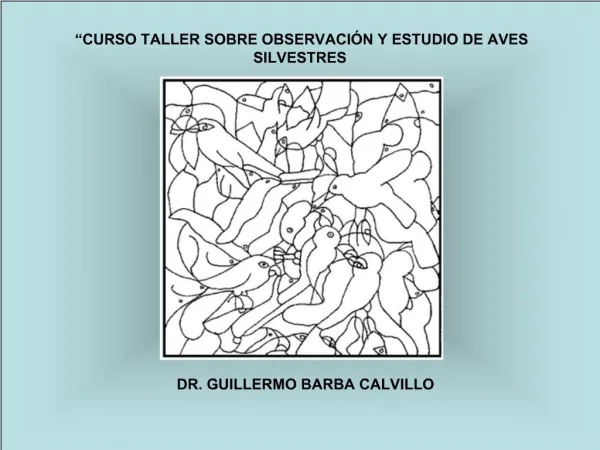 CURSO TALLER SOBRE OBSERVACI N Y ESTUDIO DE AVES SILVESTRES