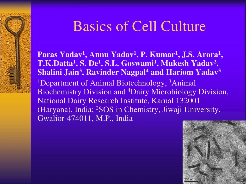 basics of cell culture