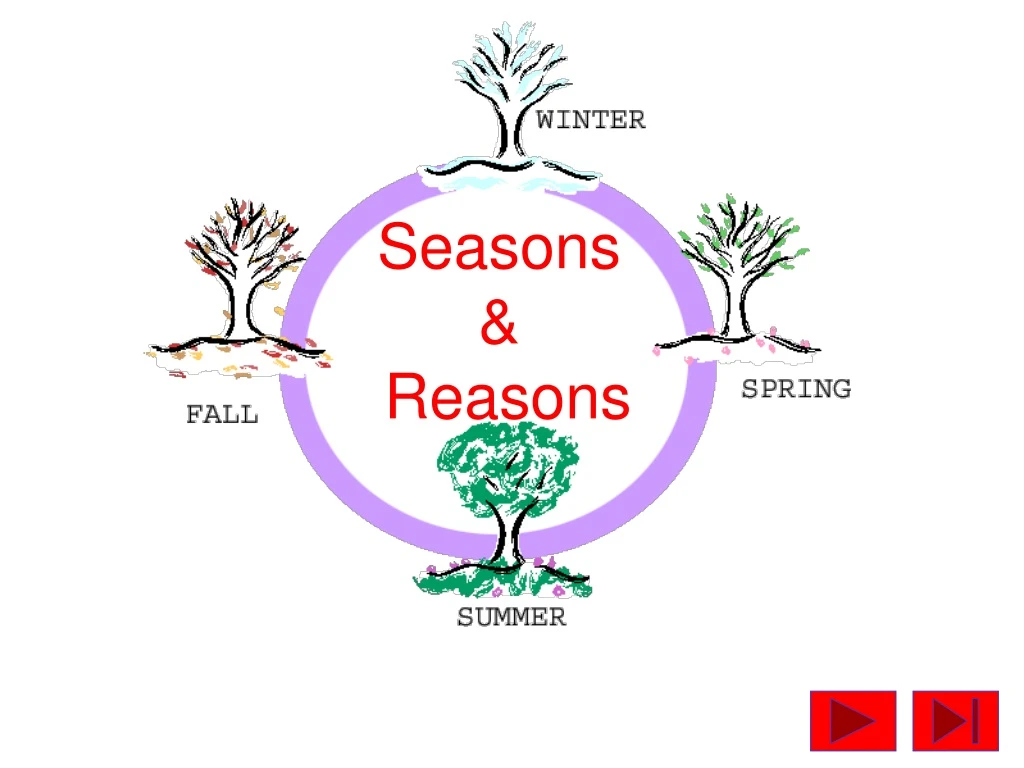 seasons reasons