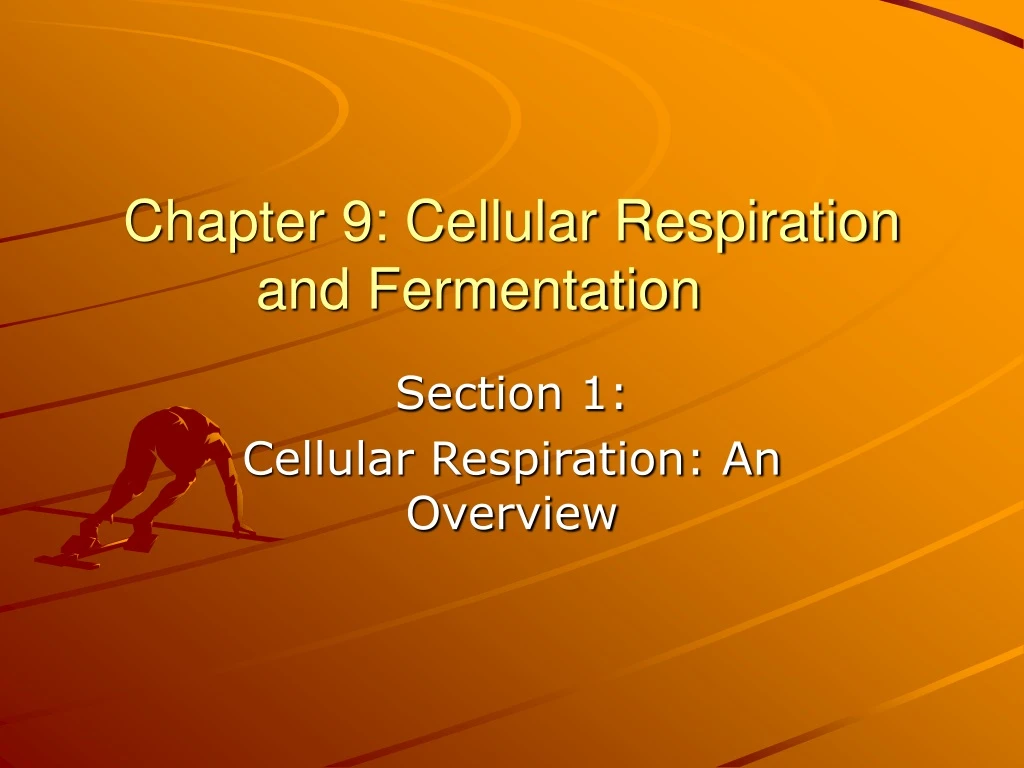 chapter 9 cellular respiration and fermentation