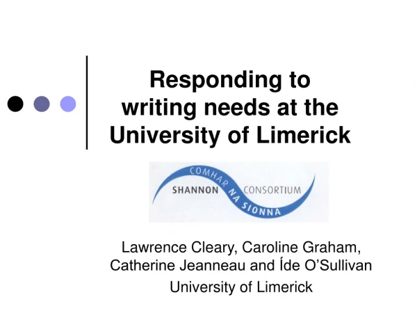 Responding to writing needs at the University of Limerick