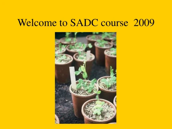 Welcome to SADC course  2009