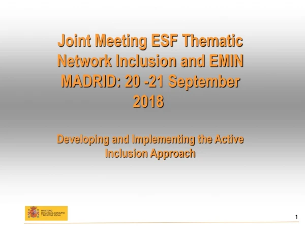 Joint Meeting ESF Thematic Network Inclusion and EMIN MADRID: 20 -21 September 2018 