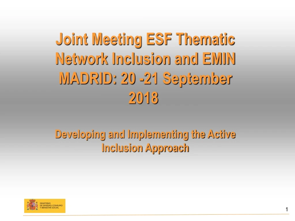 joint meeting esf thematic network inclusion