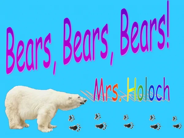 Bears, Bears, Bears!