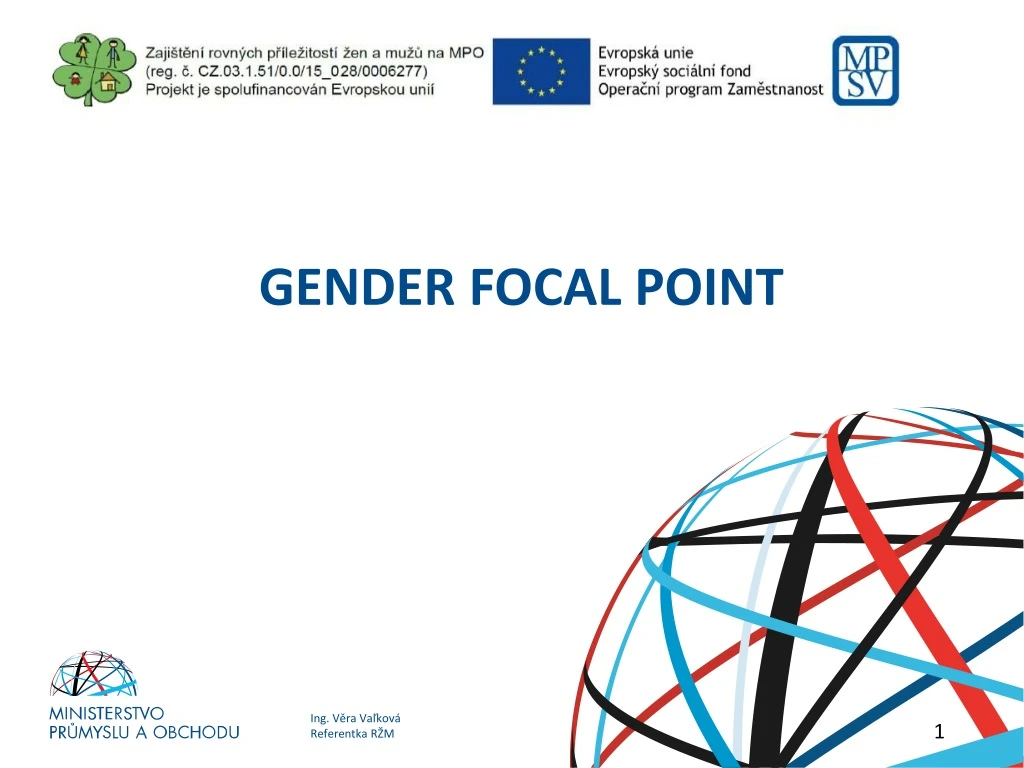 gender focal point