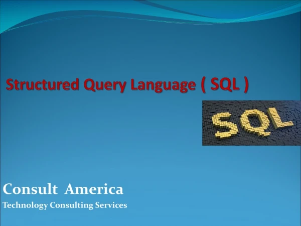 Structured Query Language  ( SQL )