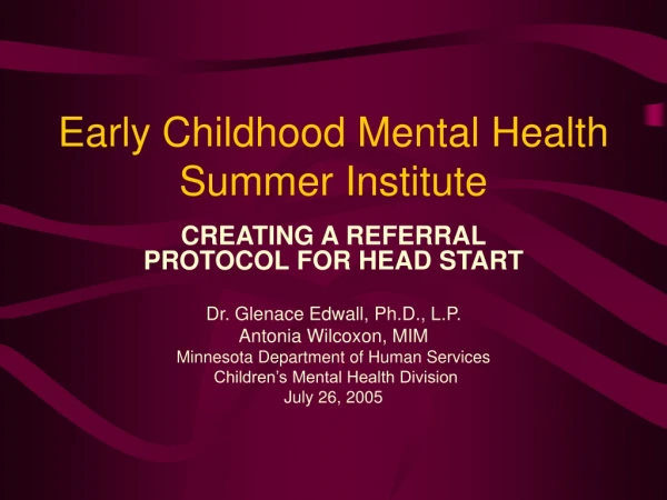 Early Childhood Mental Health Summer Institute