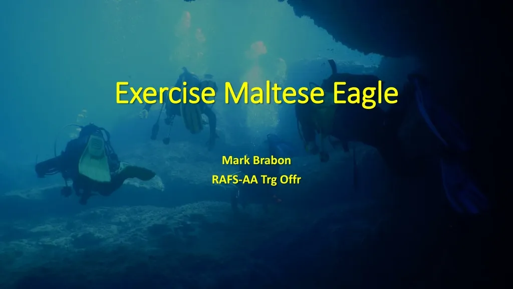 exercise maltese eagle